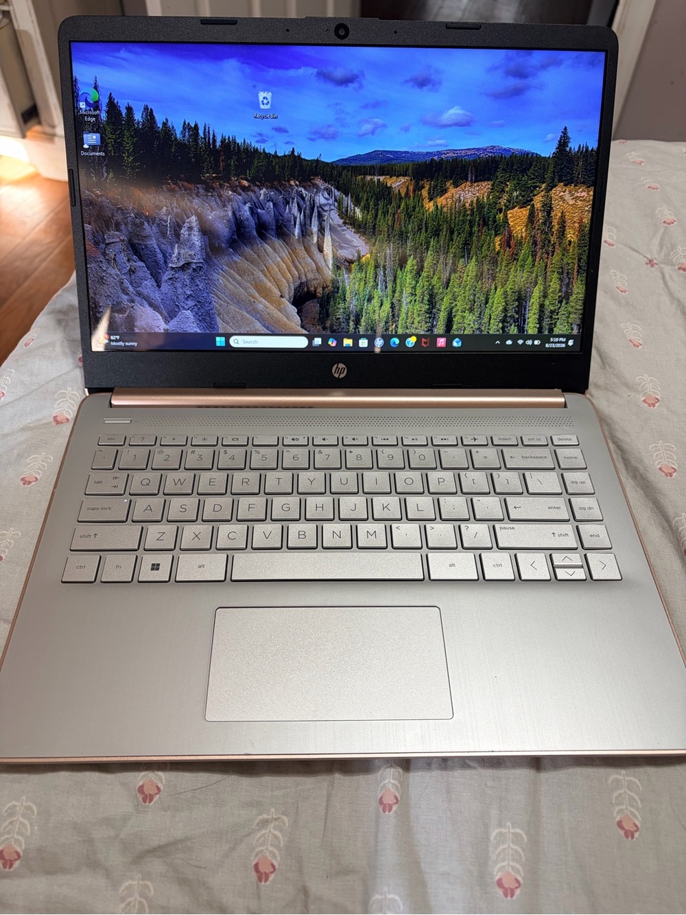 HP Silver Laptop with Rose Gold Trim - 14" Display w/charger
